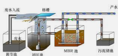 2号站出款延迟,2号站平台黑钱吗?