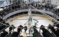 <b>2号站信誉养殖场污水处理设备-潍坊市高性价养猪</b>