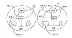 <strong>2号站平台怎么注册</strong>