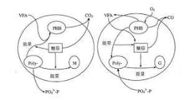 2号站注册,2号站注册链接